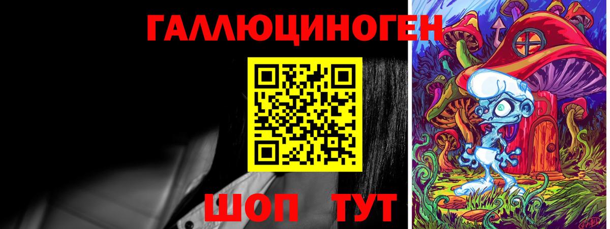Галлюциногенные грибы Psilocybine cubensis Барабинск